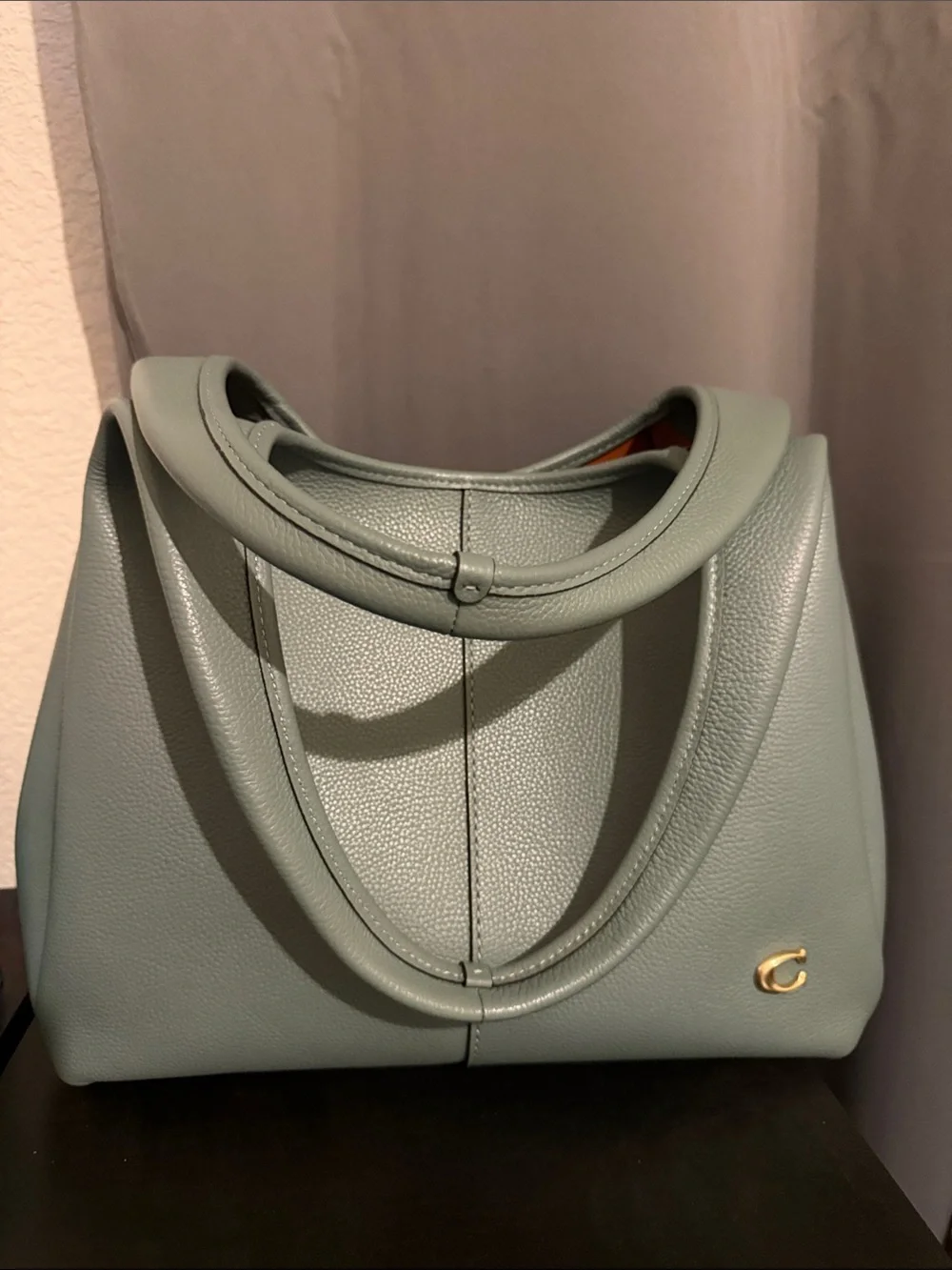 Coach Large Lana Bag in Sage